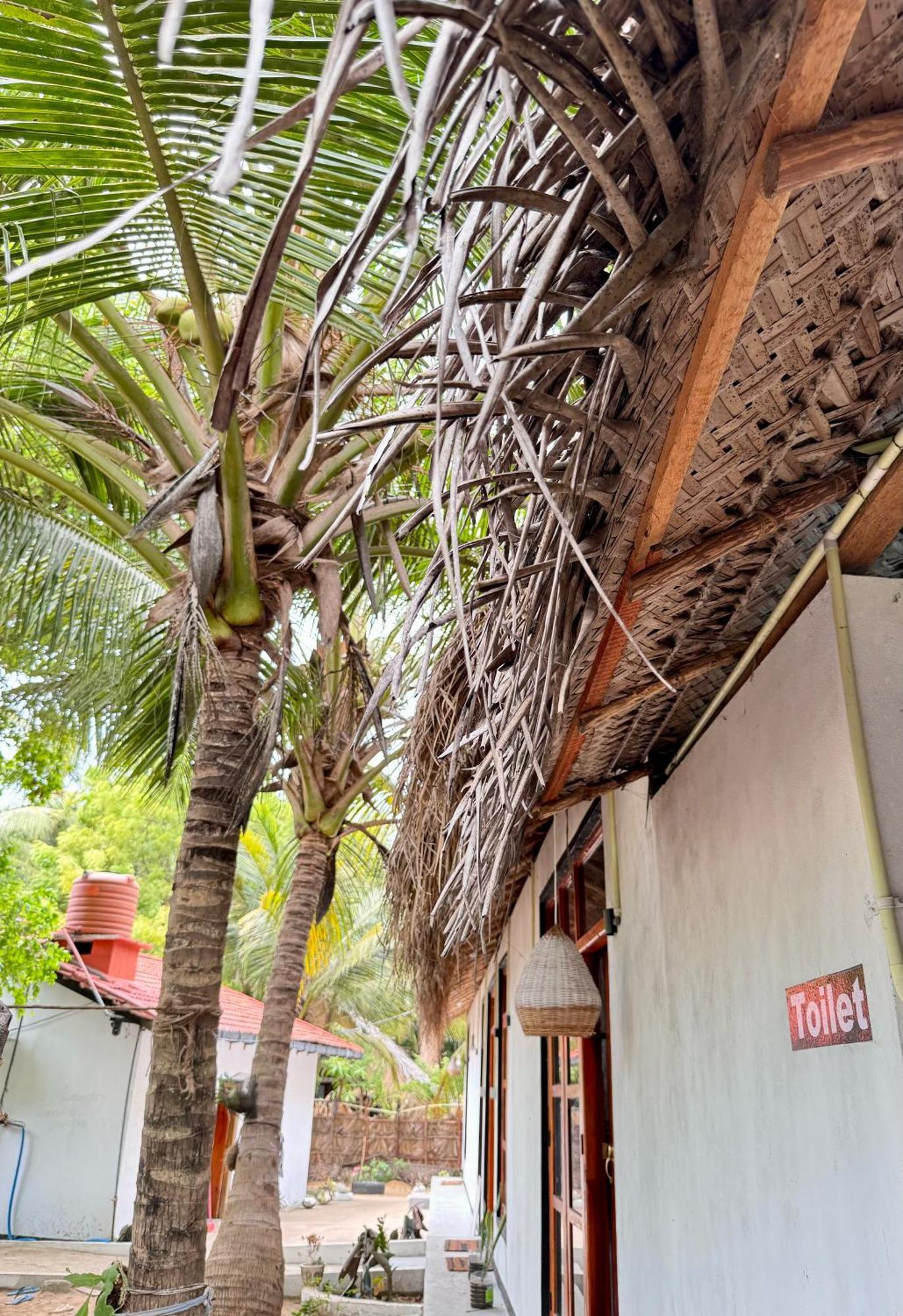 Surfing Lion Hostel 아루감 베이 외부 사진