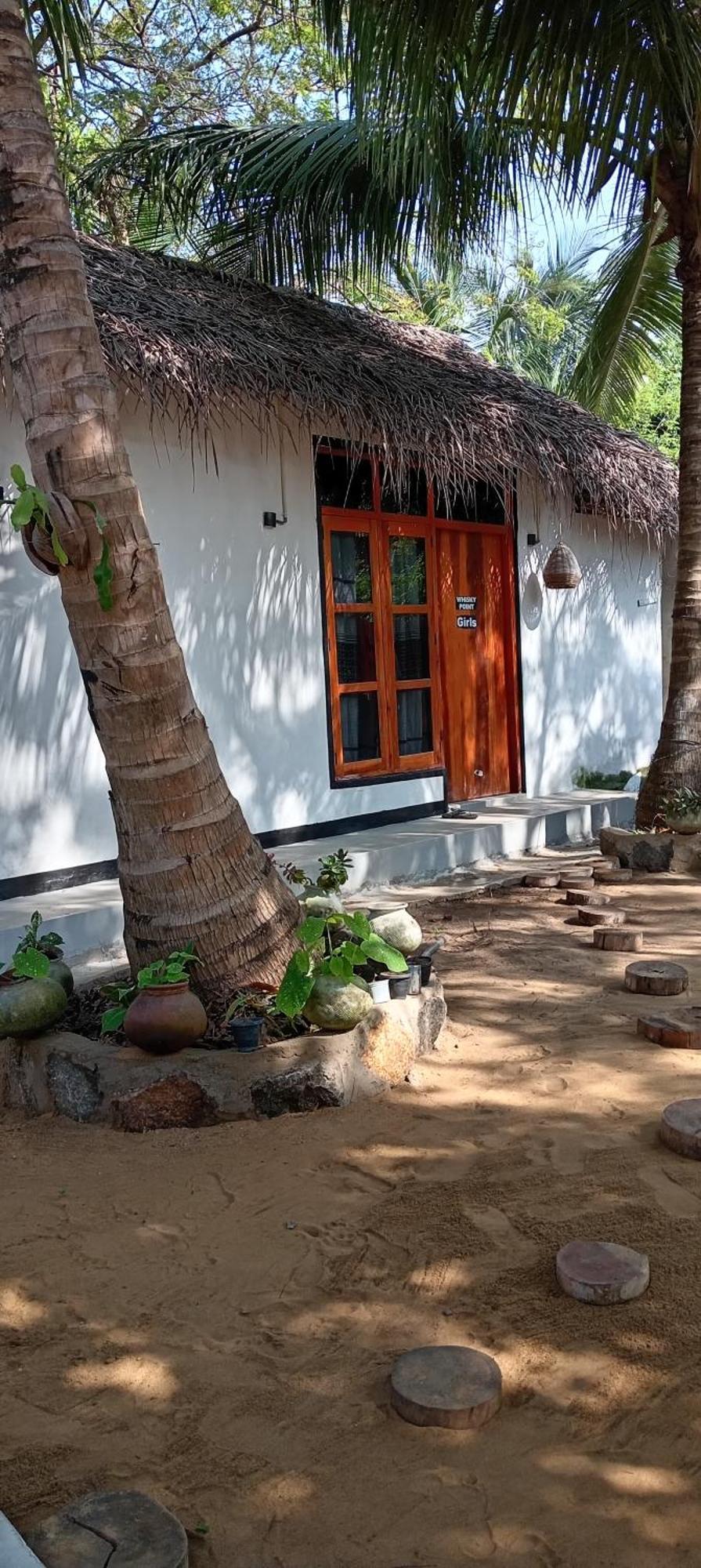 Surfing Lion Hostel 아루감 베이 외부 사진