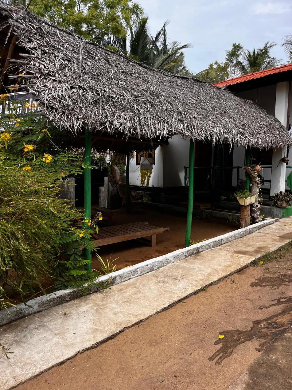 Surfing Lion Hostel 아루감 베이 외부 사진
