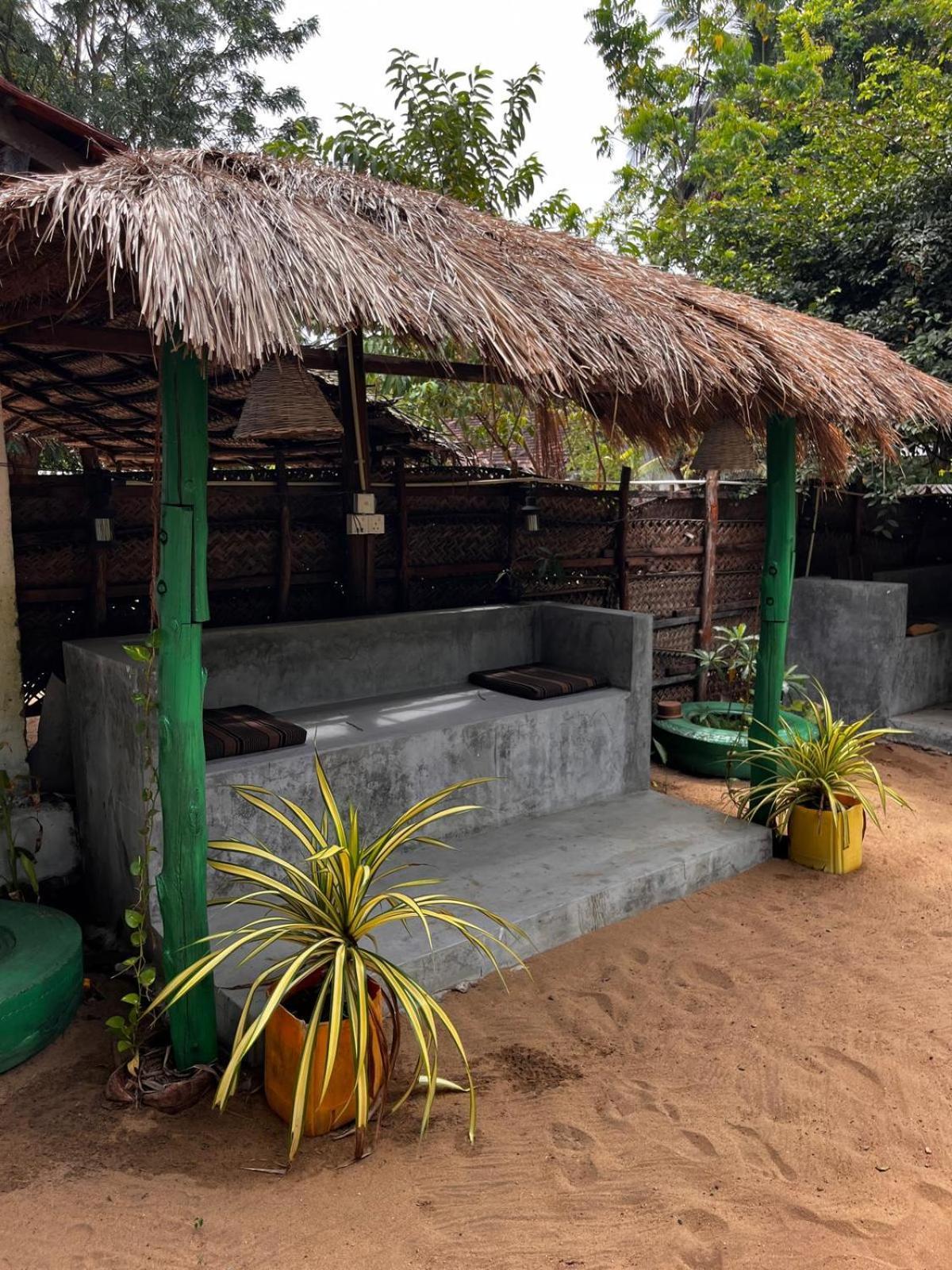 Surfing Lion Hostel 아루감 베이 외부 사진