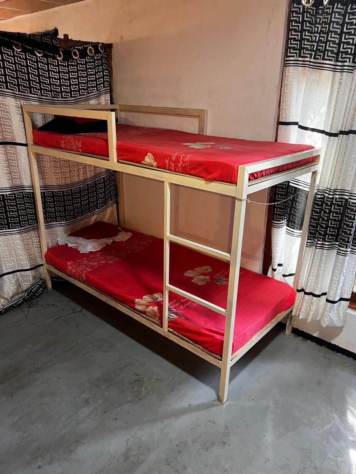 Surfing Lion Hostel 아루감 베이 외부 사진