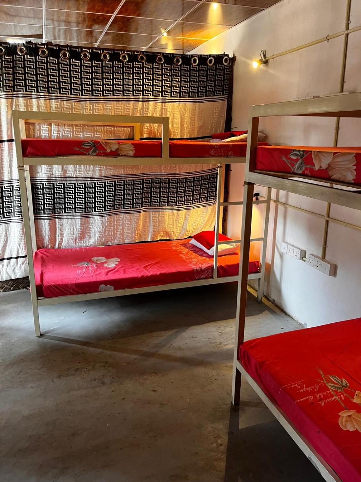 Surfing Lion Hostel 아루감 베이 외부 사진