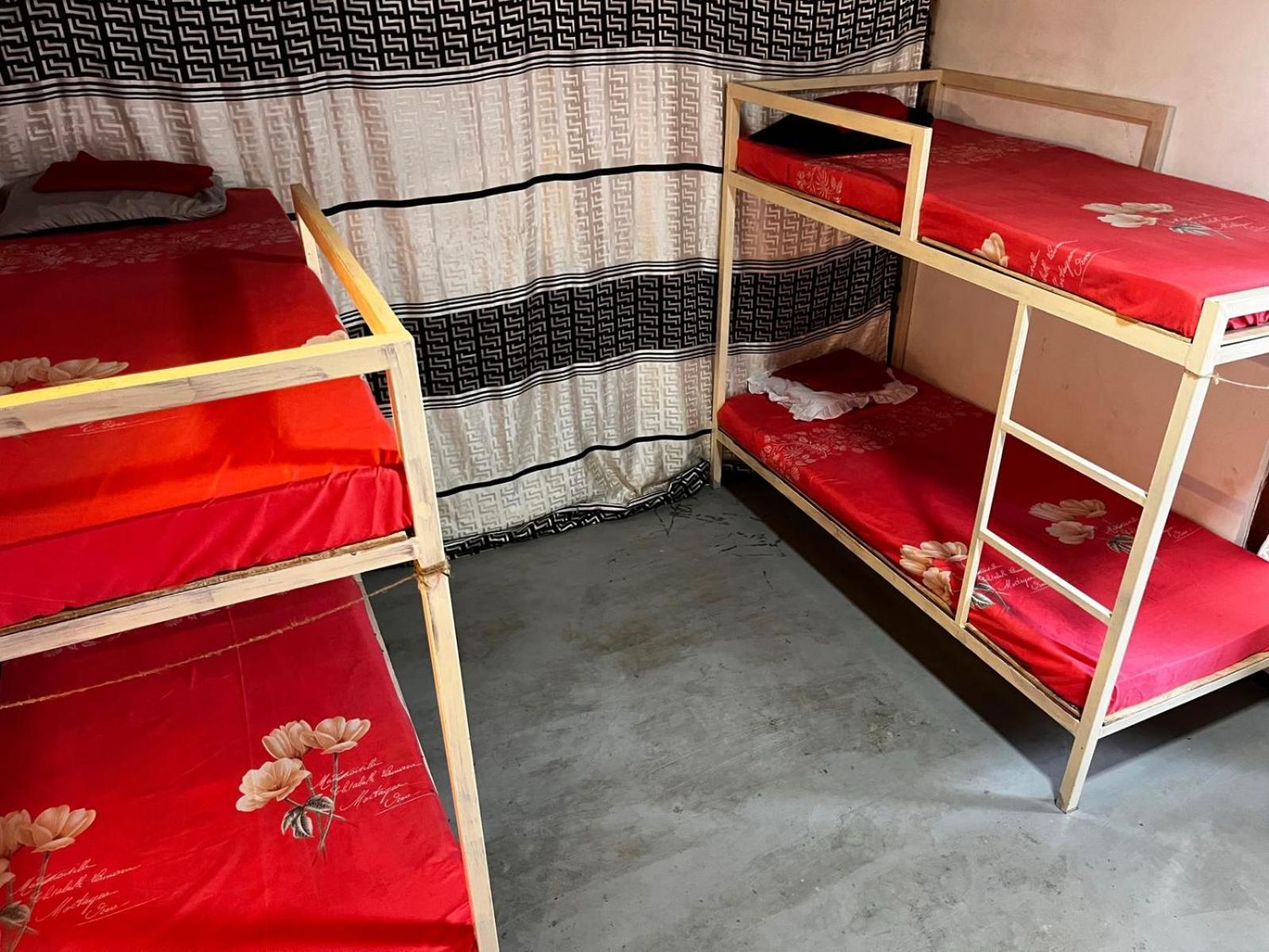 Surfing Lion Hostel 아루감 베이 외부 사진
