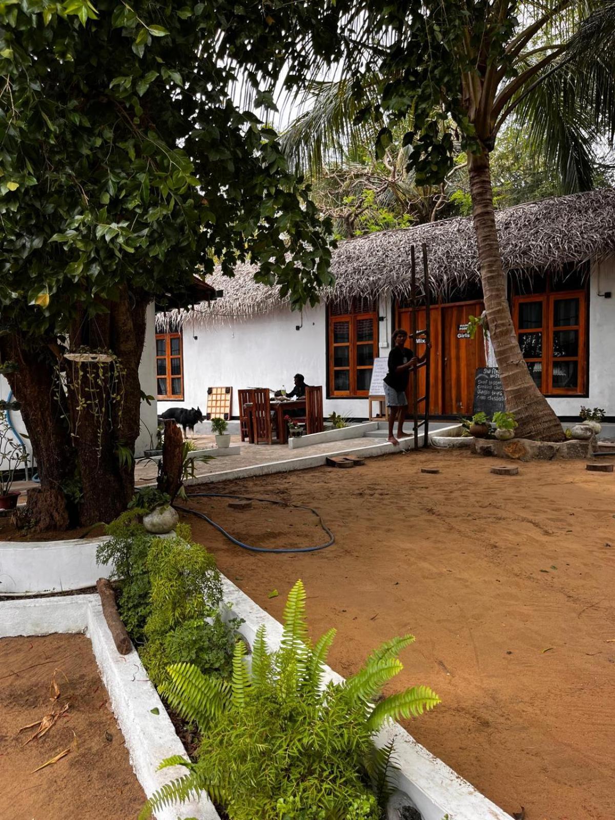 Surfing Lion Hostel 아루감 베이 외부 사진
