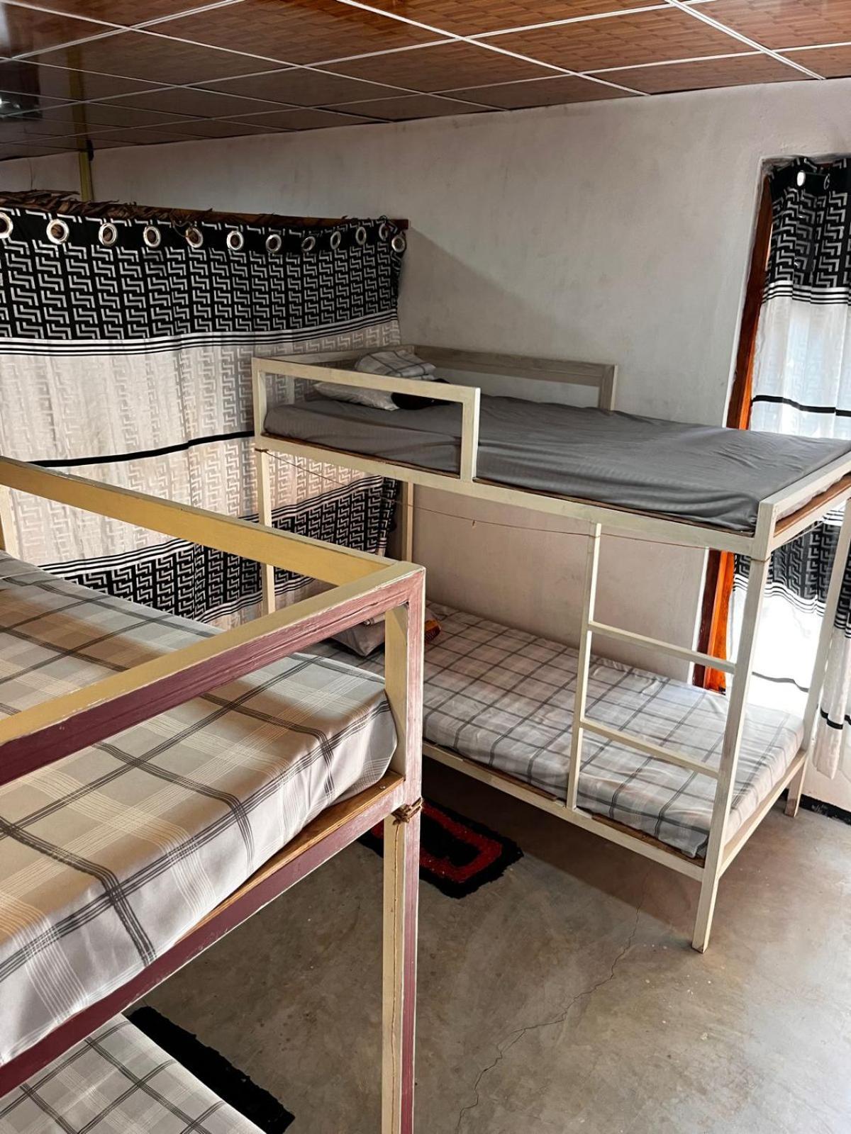 Surfing Lion Hostel 아루감 베이 외부 사진