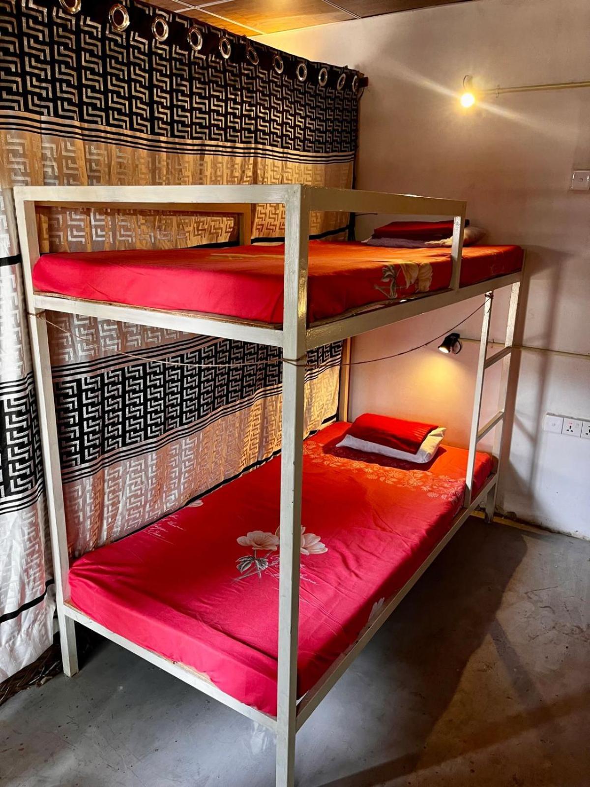 Surfing Lion Hostel 아루감 베이 외부 사진