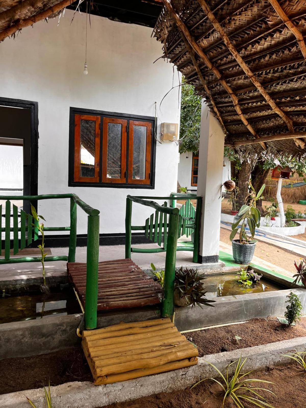 Surfing Lion Hostel 아루감 베이 외부 사진