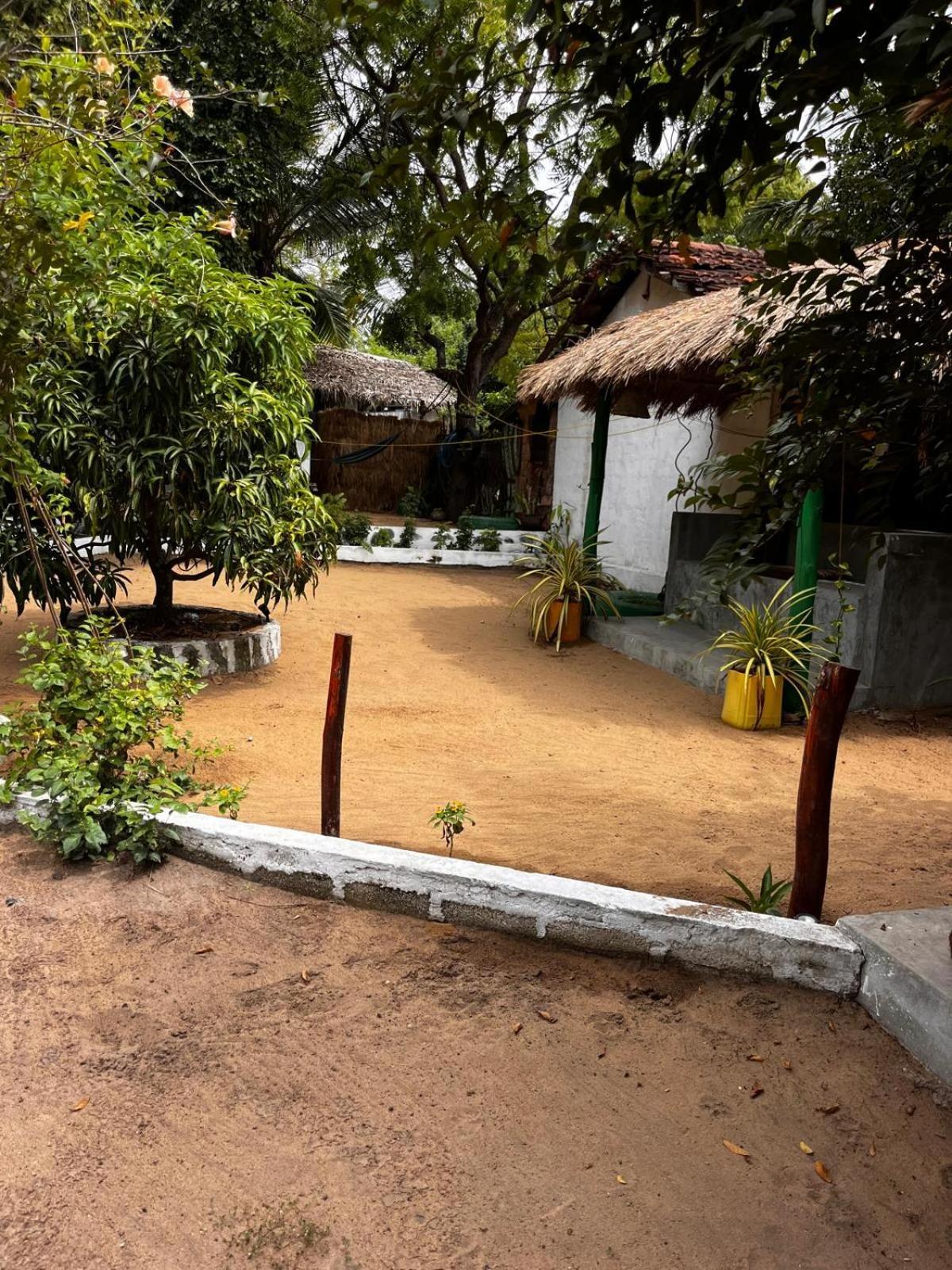 Surfing Lion Hostel 아루감 베이 외부 사진