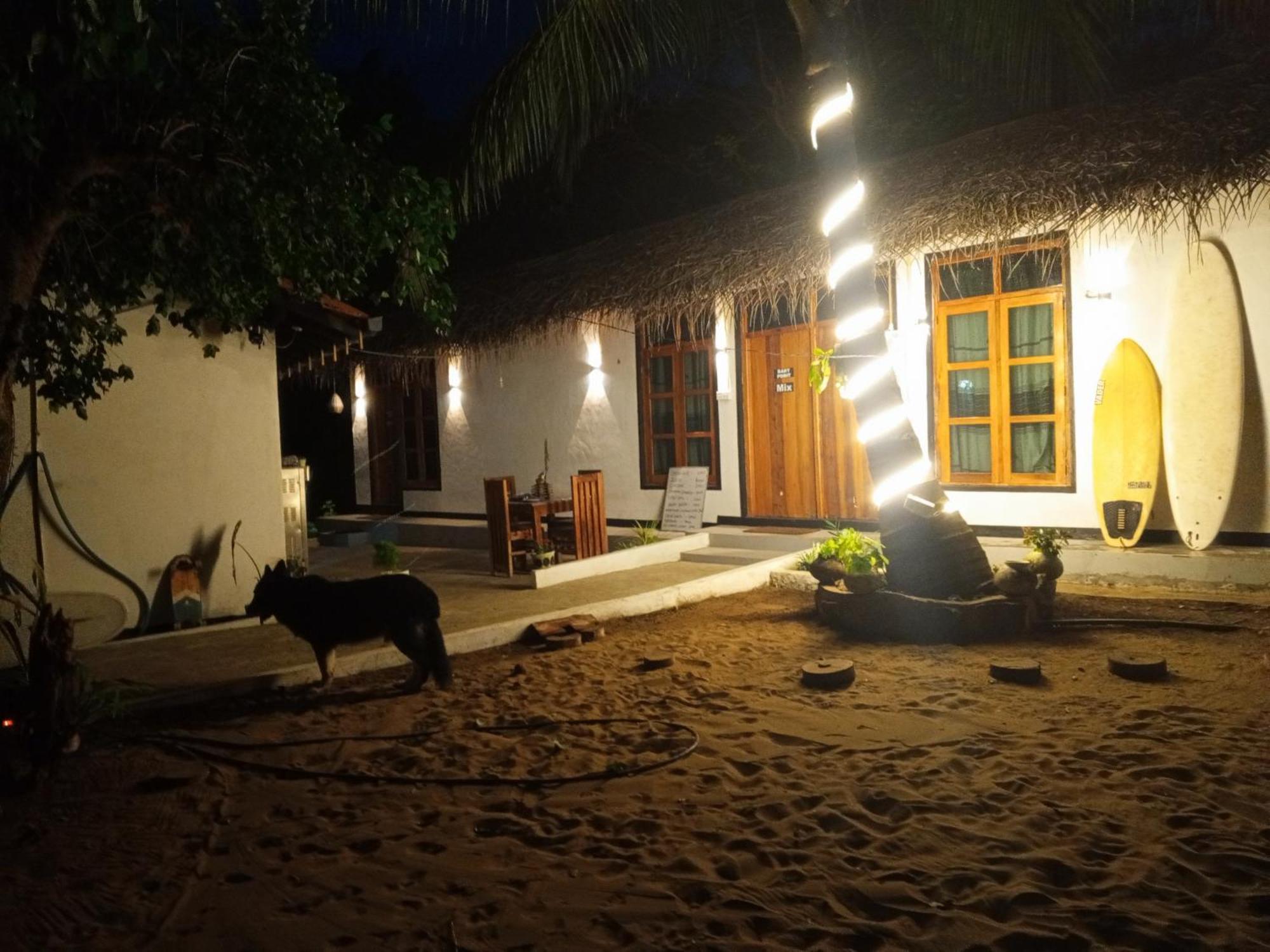 Surfing Lion Hostel 아루감 베이 외부 사진