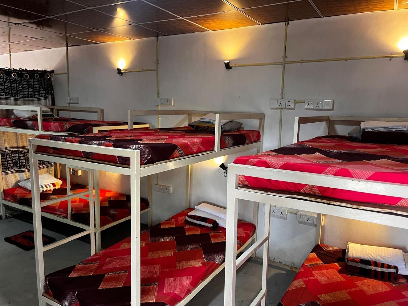 Surfing Lion Hostel 아루감 베이 외부 사진