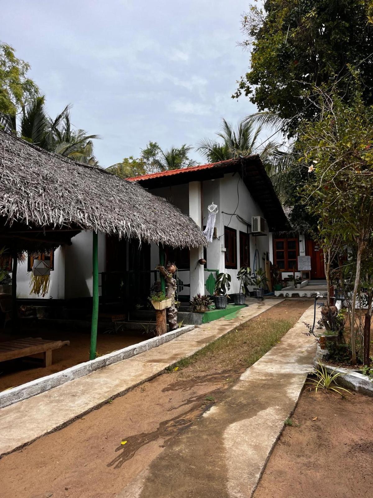 Surfing Lion Hostel 아루감 베이 외부 사진