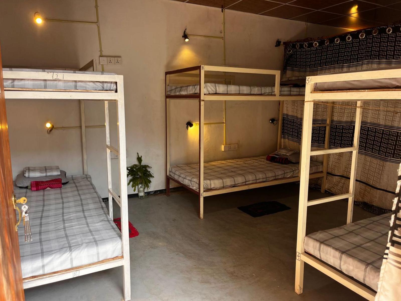 Surfing Lion Hostel 아루감 베이 외부 사진