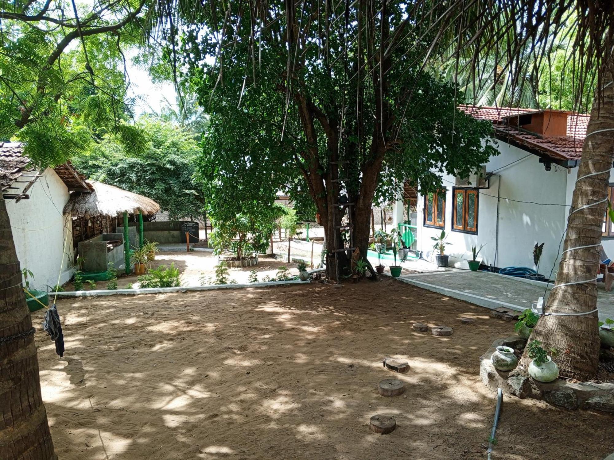 Surfing Lion Hostel 아루감 베이 외부 사진